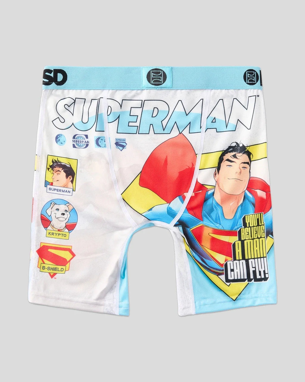 DC - Superman Fly