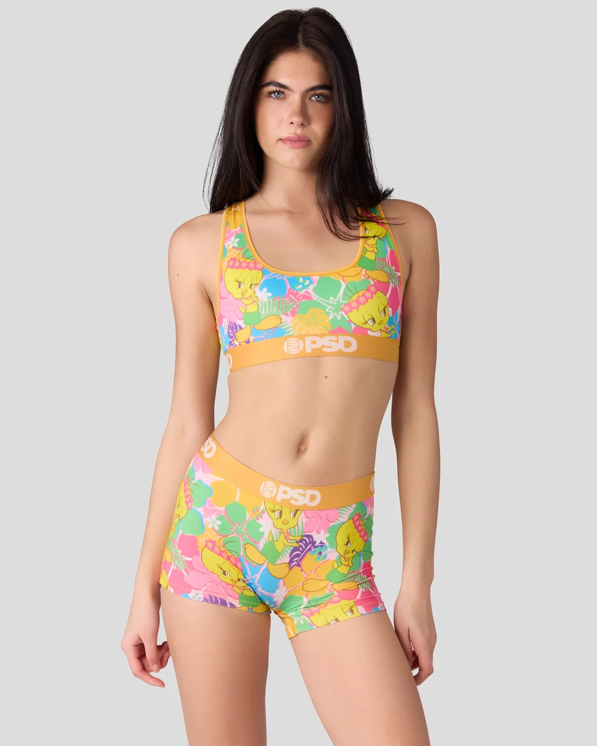 Looney Tunes - Tweety Hawaii