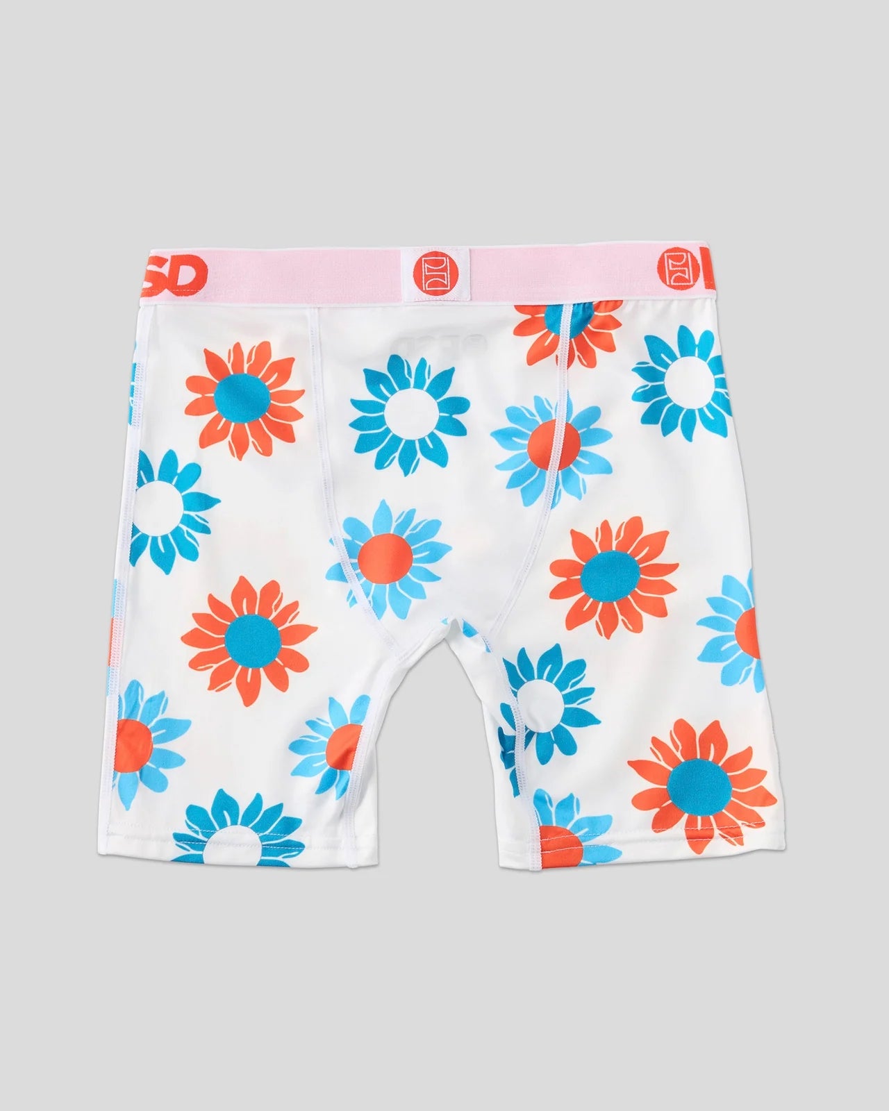Fall Daisies
