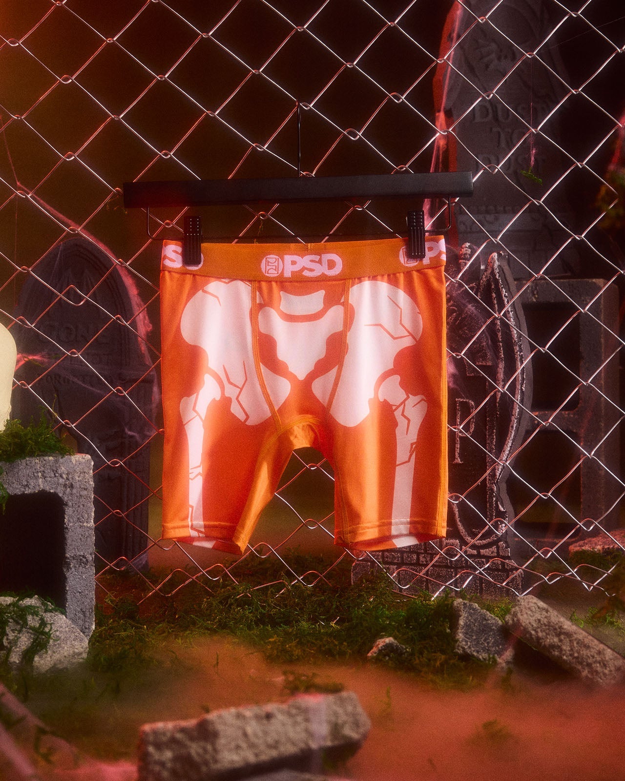 Snapped Orange